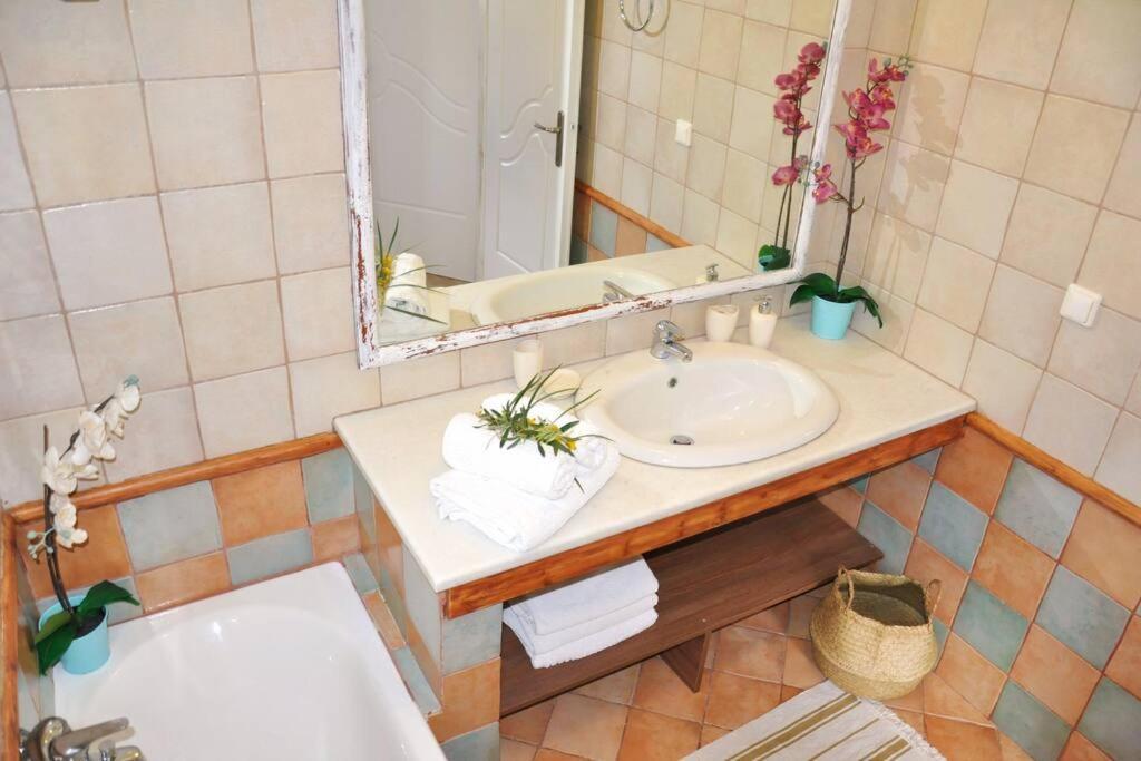 Villa Erietta Near Lefkas Center Apolpaina Extérieur photo