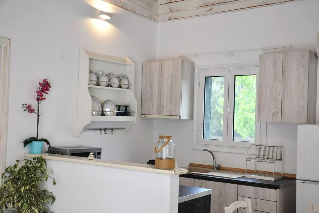 Villa Erietta Near Lefkas Center Apolpaina Extérieur photo