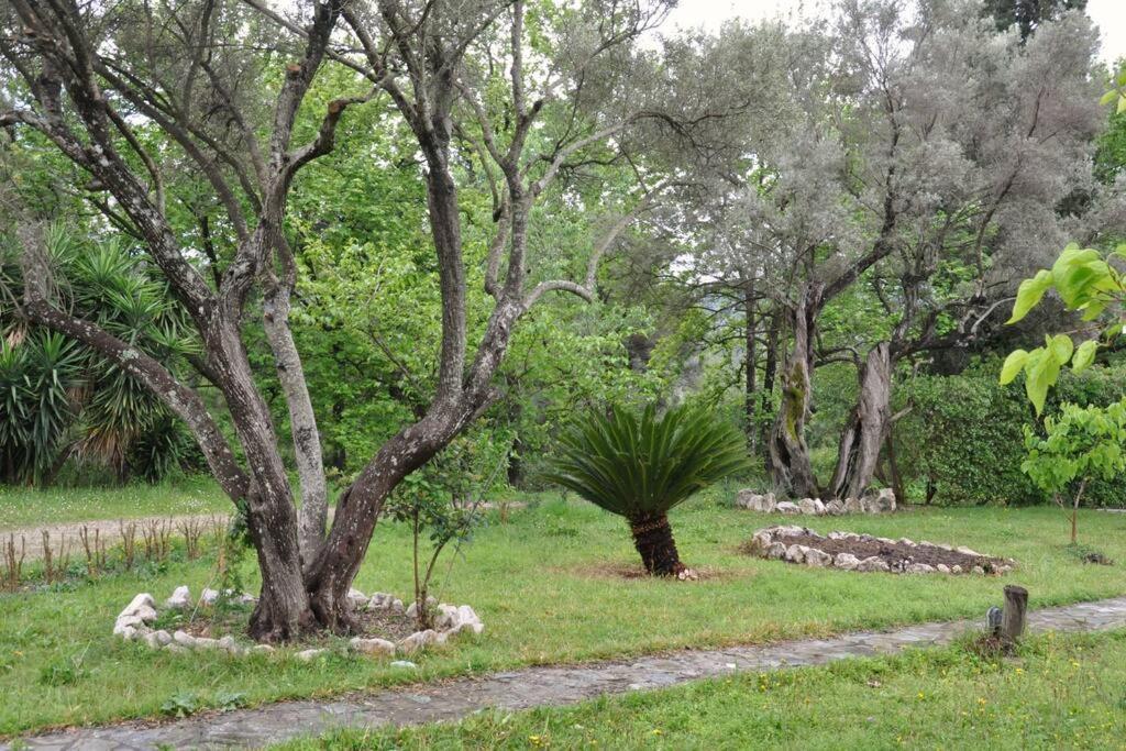Villa Erietta Near Lefkas Center Apolpaina Extérieur photo